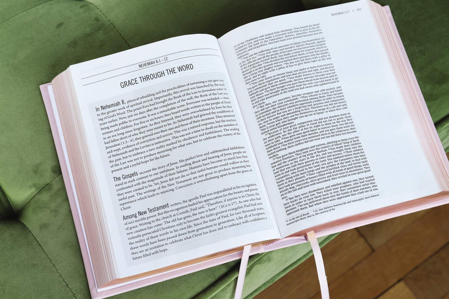 Bible -Deluxe study kit The Jesus Bible, NIV Edition,